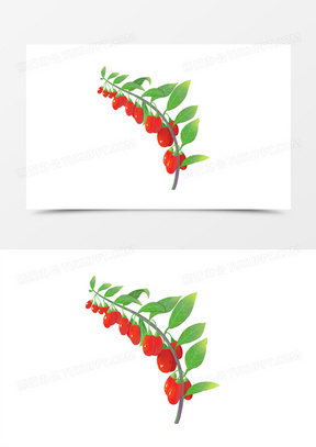 手绘枸杞中草药材插画风元素