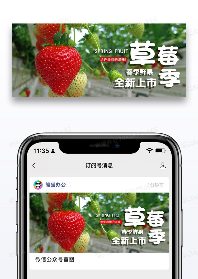 草莓季公众号封面配图图片设计