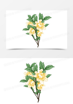 手绘卡通栀子花免抠元素