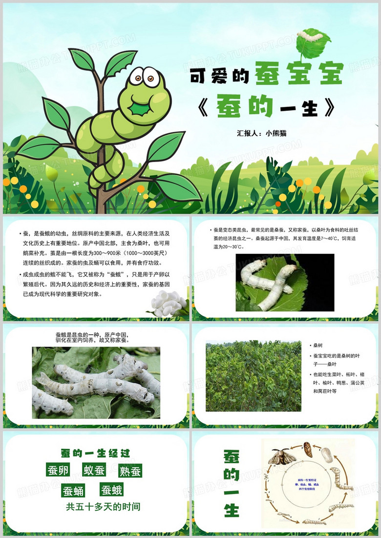 绿色清新风蚕的一生PPT模板