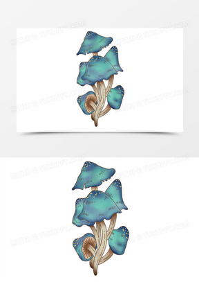 最常见的毒蘑菇图片大全