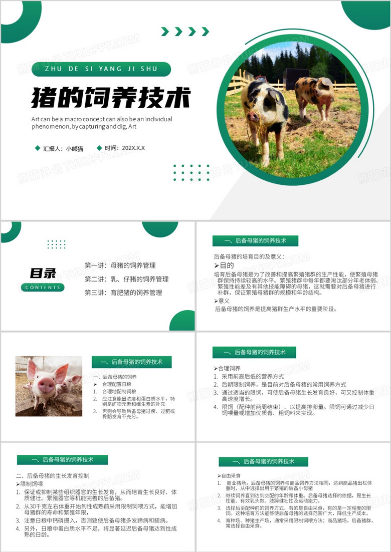 绿色简约风猪的饲养技术PPT模板