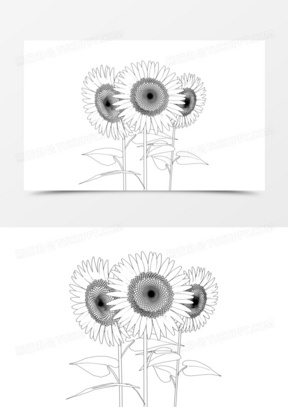 手绘线稿花朵向日葵太阳花免抠素材