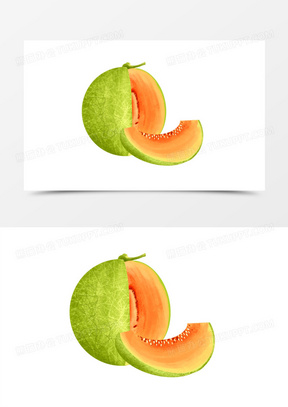 卡通手绘插画风写实哈密瓜元素