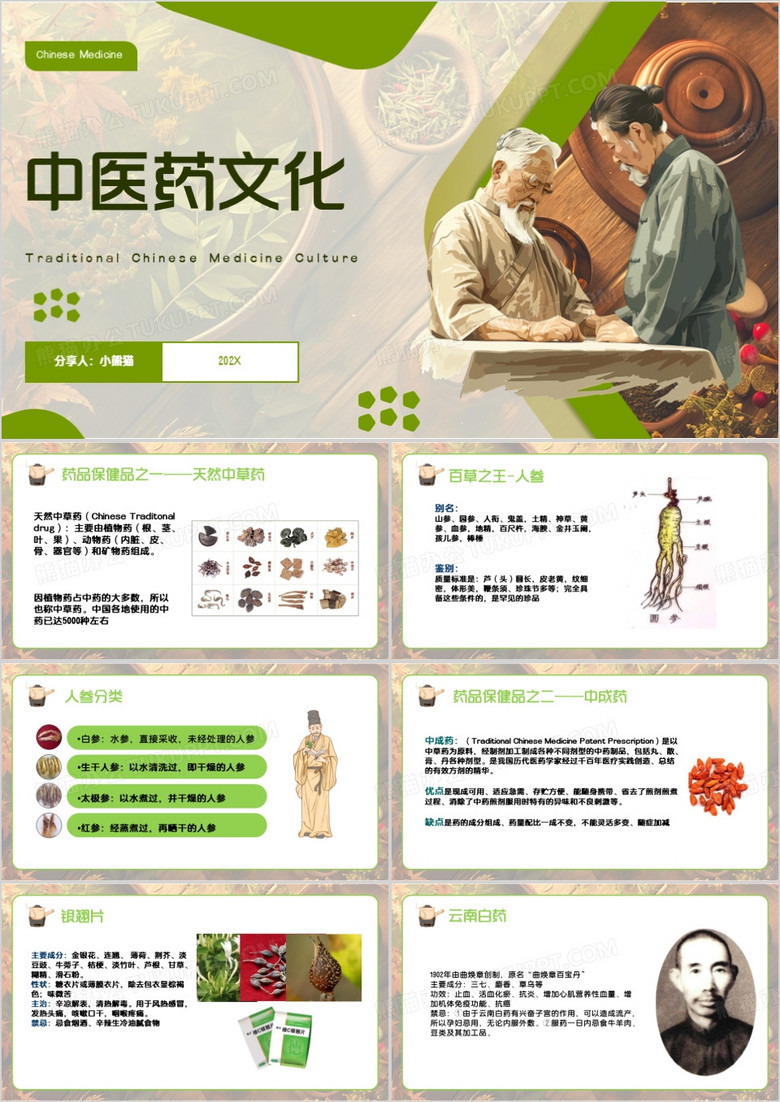绿色简约风中医药文化PPT模板