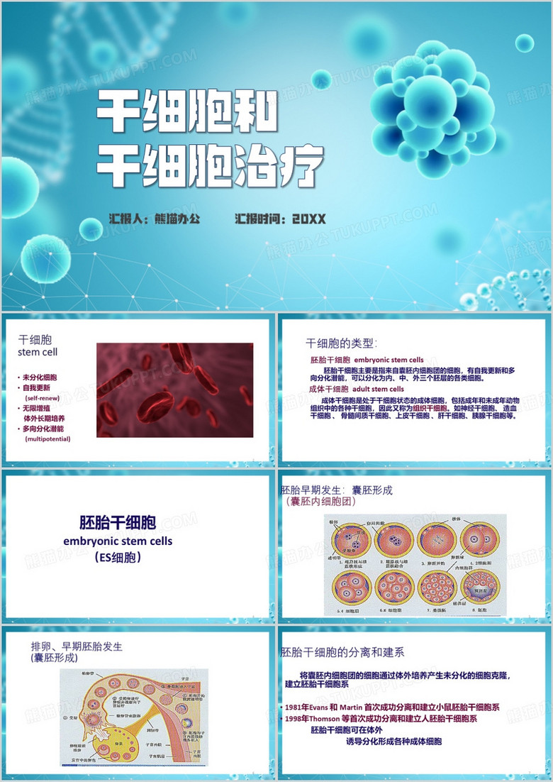 蓝色简约风干细胞和干细胞治疗PPT模板