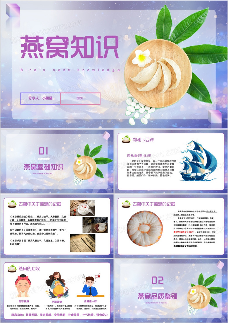 紫色小清新燕窝知识PPT模板