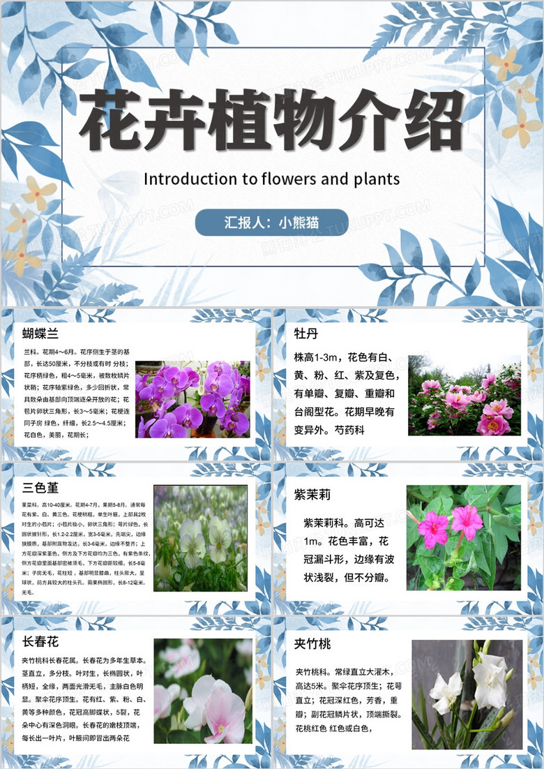 蓝色清新风花卉植物介绍PPT模板