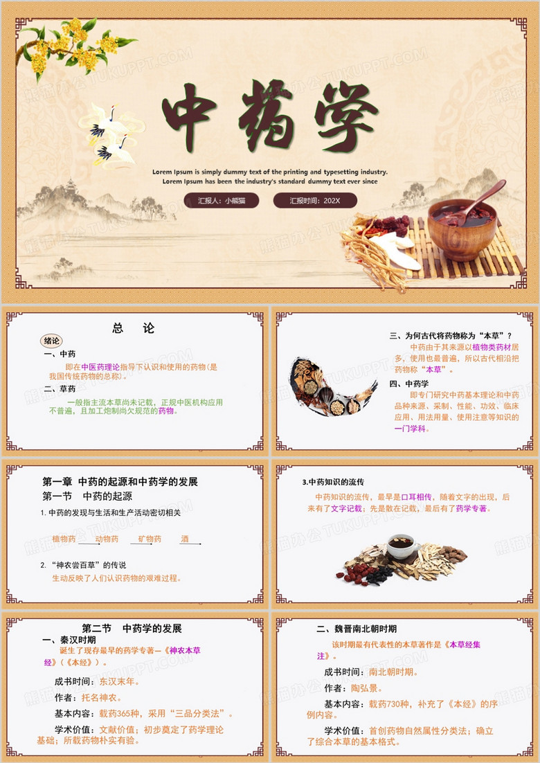 棕色中国风中药学PPT模板