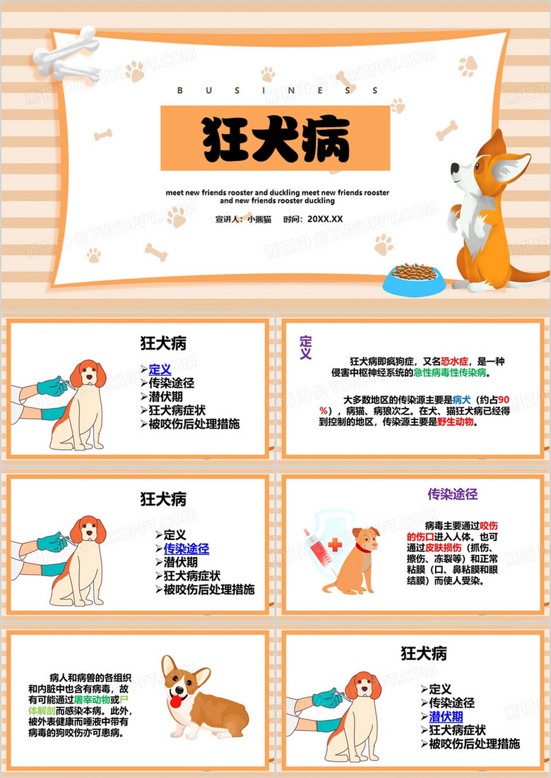 橙色卡通风狂犬病PPT模板