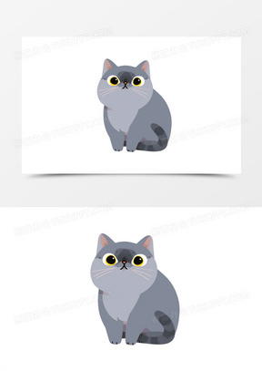 扁平蓝猫英国短毛猫元素