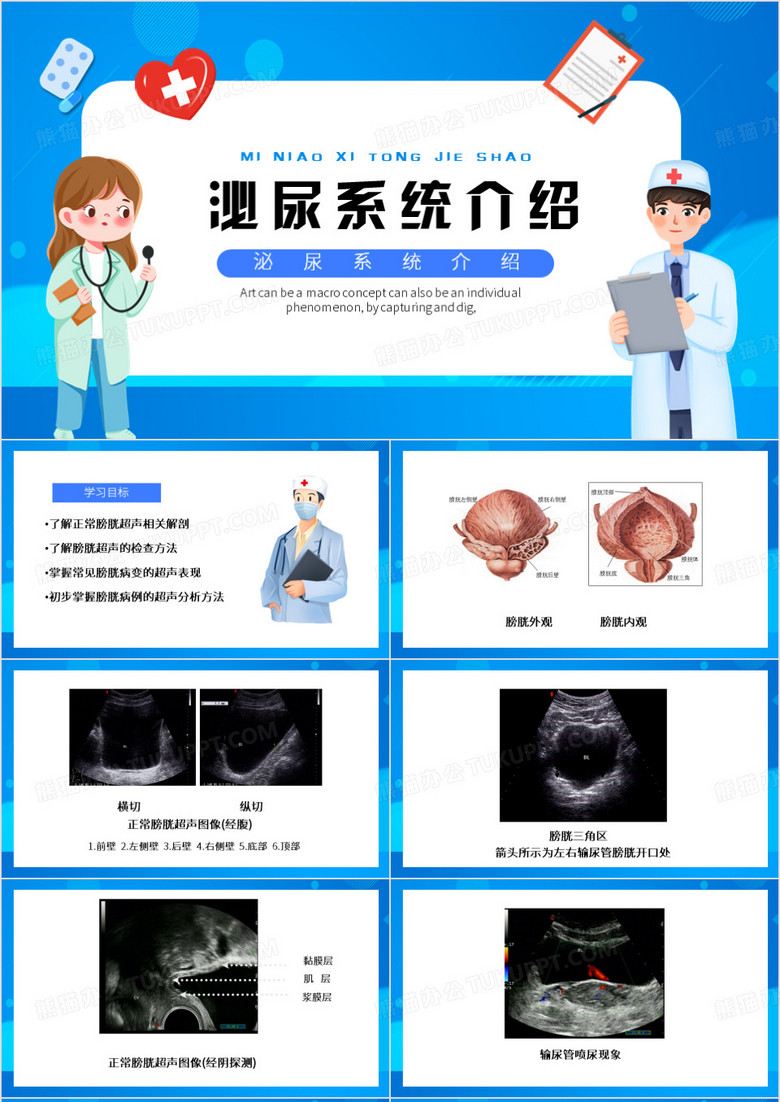 蓝色卡通风泌尿系统PPT模板