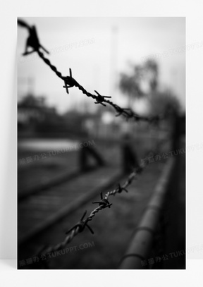 电线素材 电线图片 电线素材图片下载 熊猫办公