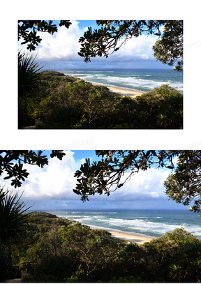 澳大利亚 海滩 布鲁克