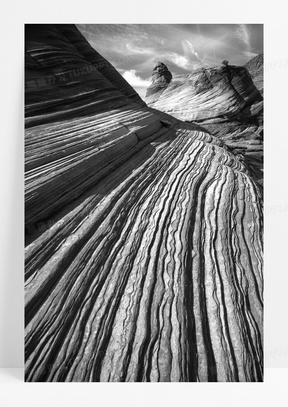 黑白 沙漠 干的