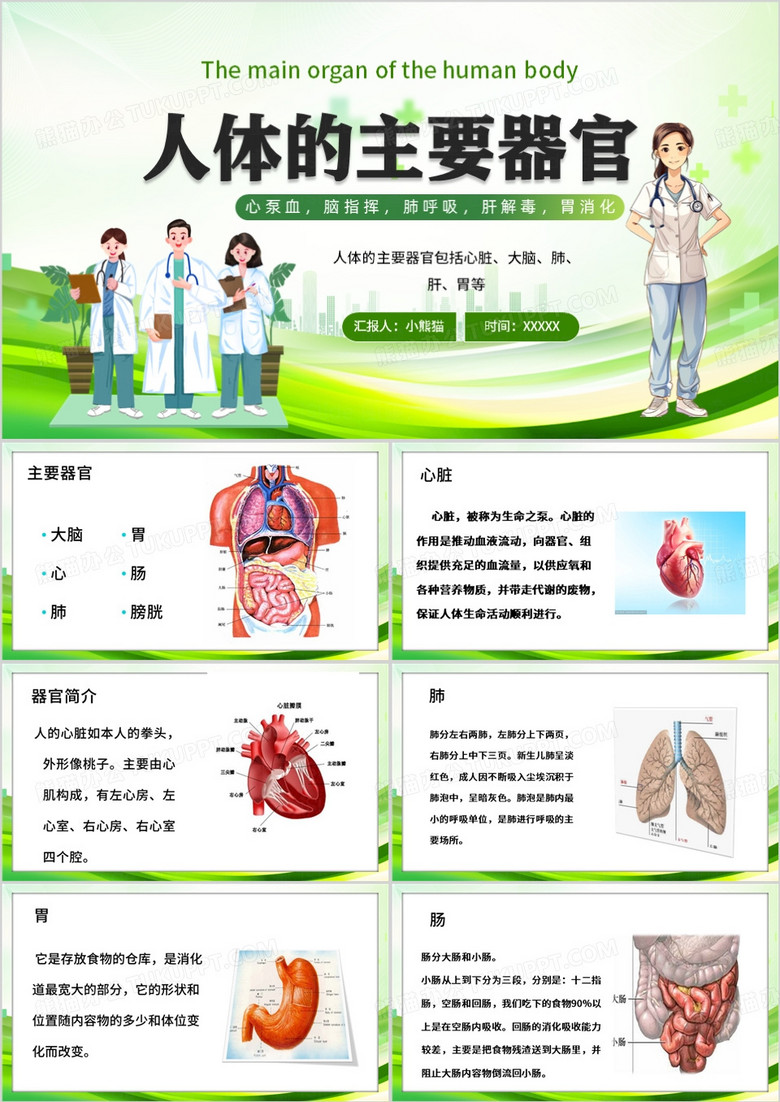 绿色卡通风人体的主要器官PPT模板