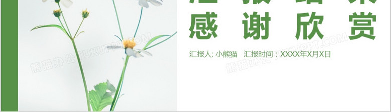 小清新绿色简约风2021新年工作计划年终工作总结PPT模板no.4
