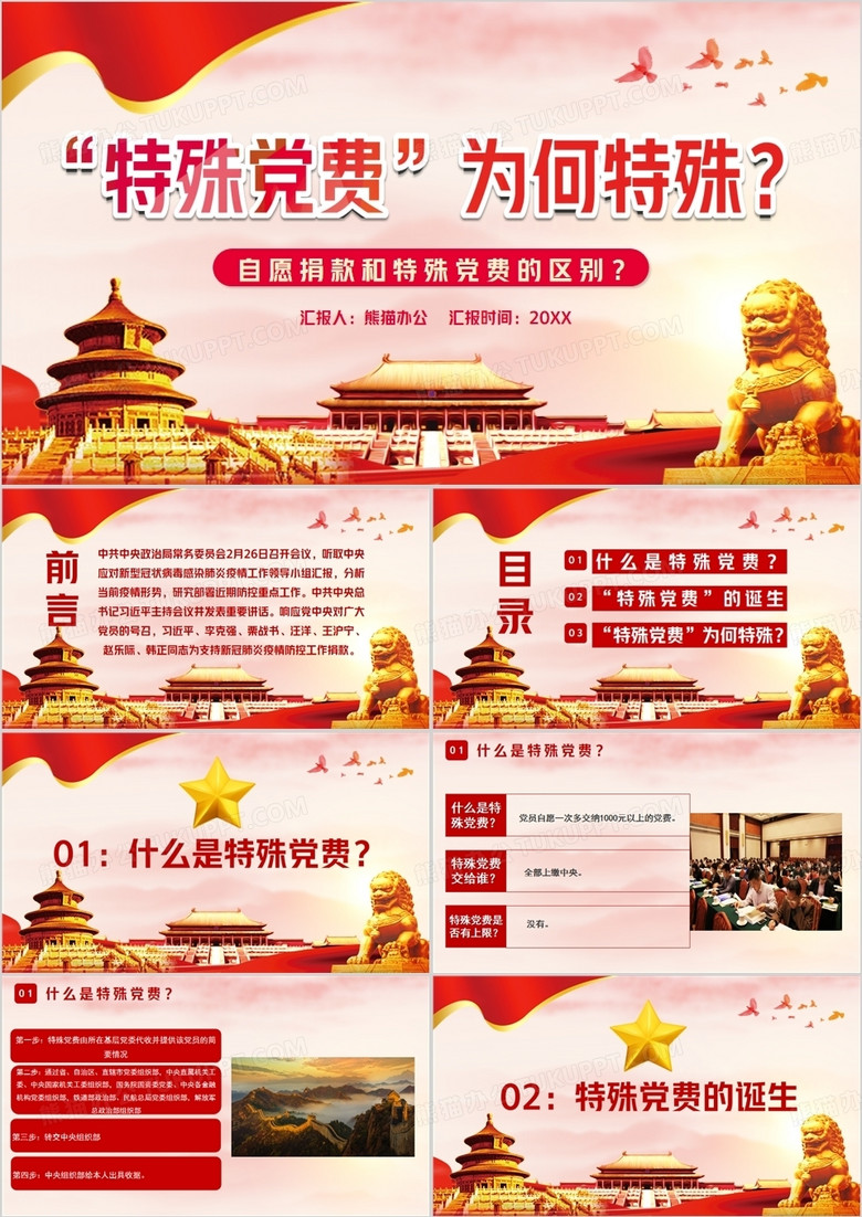特殊党费为何特殊PPT模板