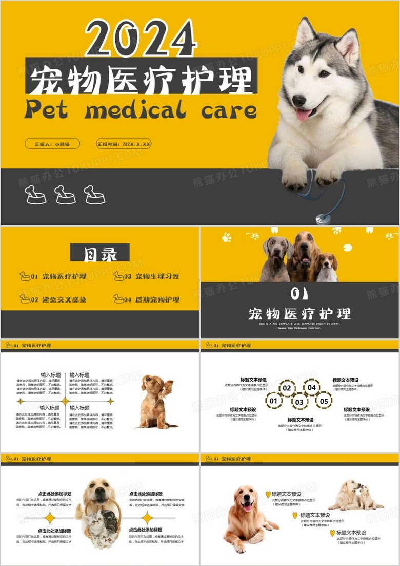 2024商务风宠物医疗护理宠物生理习性后期宠物护理通用PPT模板