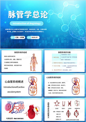 蓝色简约风人体解剖学PPT模板