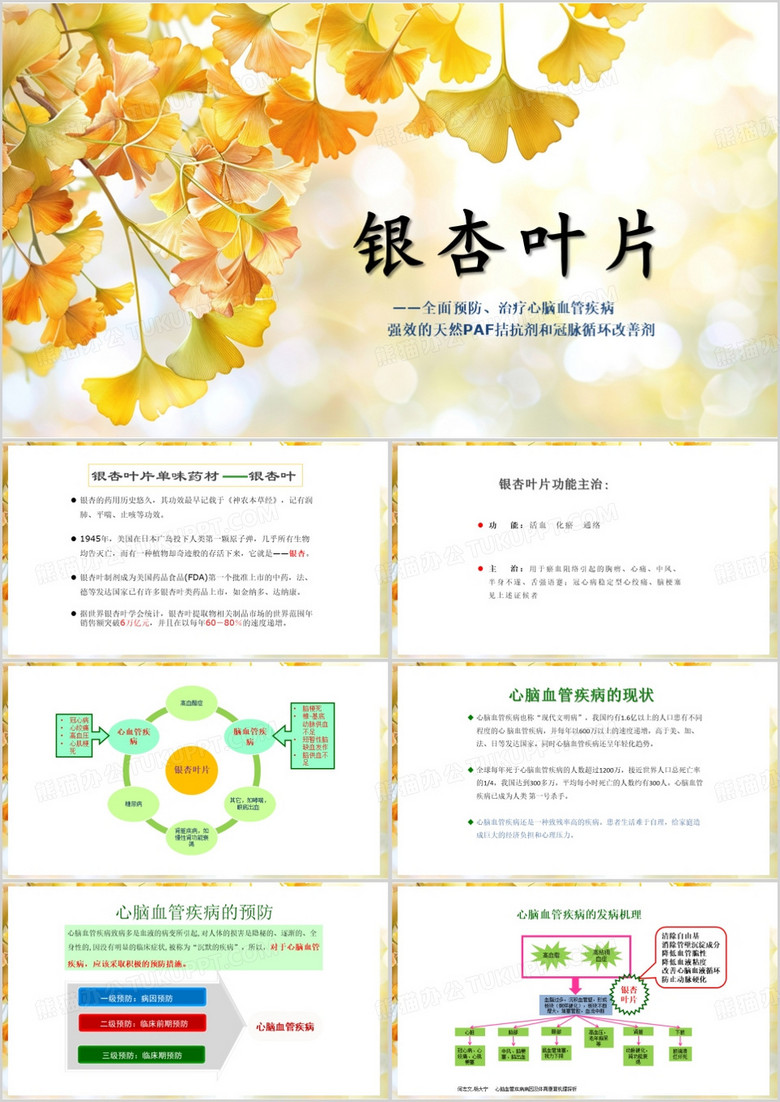 黄色清新风银杏叶药理介绍PPT模板