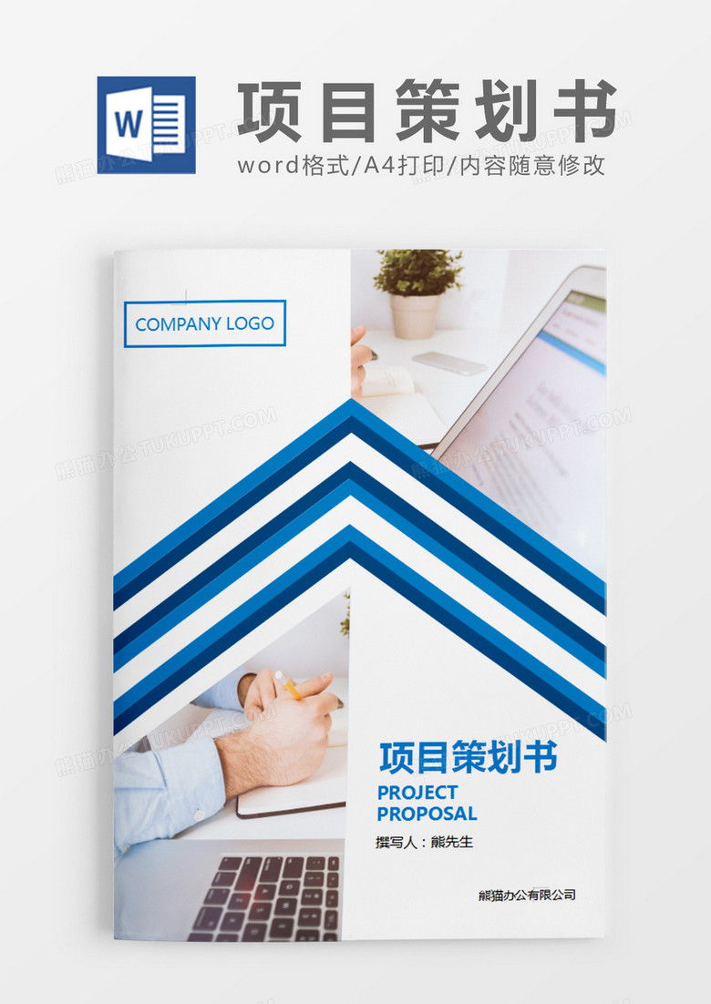 蓝色时尚线条项目策划书样本word模板