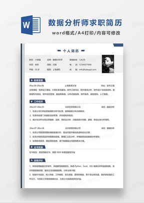 灰色简约数据分析师求职简历WORD模板