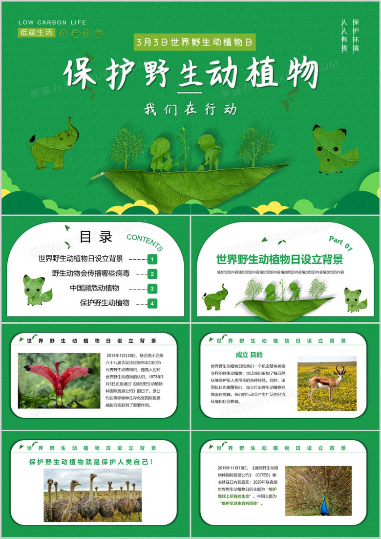 小清新保护野生动植物我们在行动PPT模板