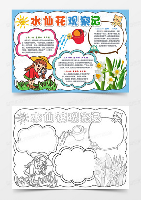 生长小学生手抄报卡通小报手抄报542水仙花观察日记小报水仙花种植