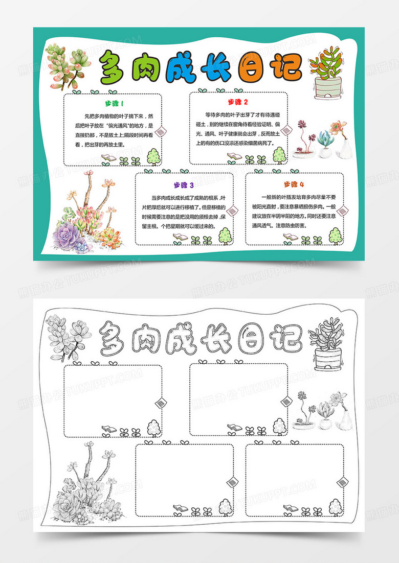 青色卡通多肉生长观察日记多肉植物生长小报手抄报卡通小报手抄报