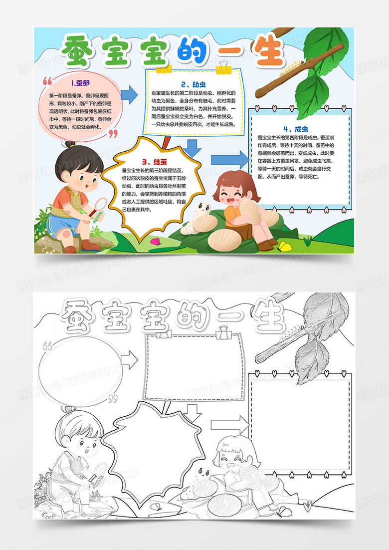 蚕宝宝成长观察日记小报手抄报蚕宝宝的一生小报