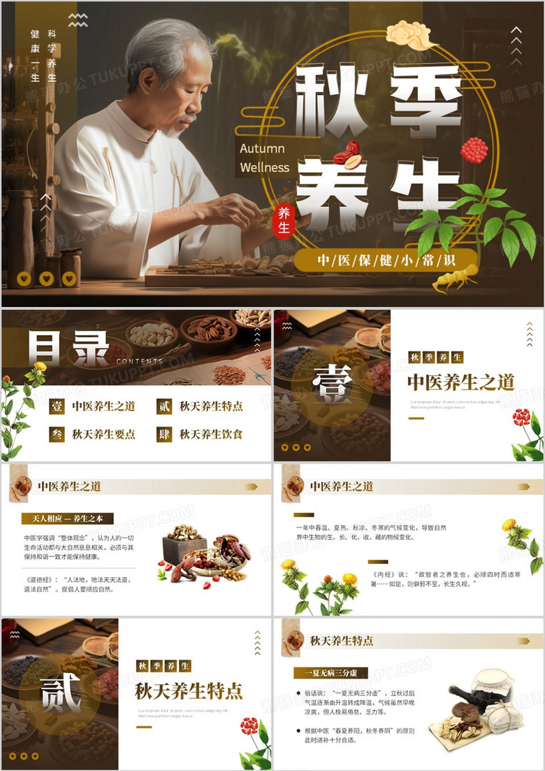 棕色中国风秋季养生中医保健知识PPT模板