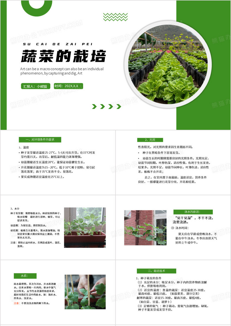 绿色简约风蔬菜栽培PPT模板