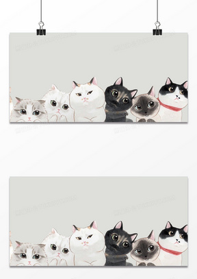 猫咪背景 图片素材 高清猫咪背景图片设计下载 熊猫办公 猫咪背景 图片素材 高清猫咪背景图片设计下载 熊猫办公