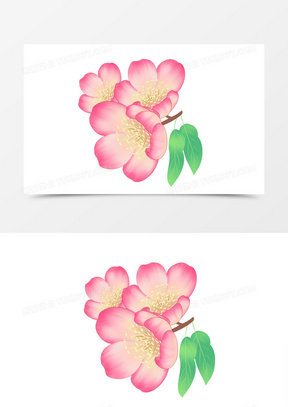 可爱唯美海棠花