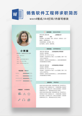 小清新销售软件开发工程师求职简历Word模板