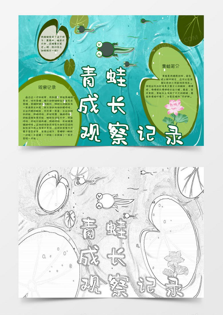卡通学生青蛙成长观察记录word小报模板