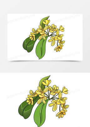 手绘植物卡通桂花花卉元素