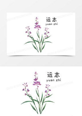 水彩中医药材系列之远志元素630水彩中医药材系列之白鲜元素220手绘