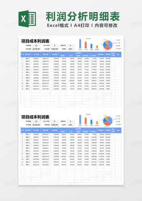 简约公司项目成本利润表excel模版