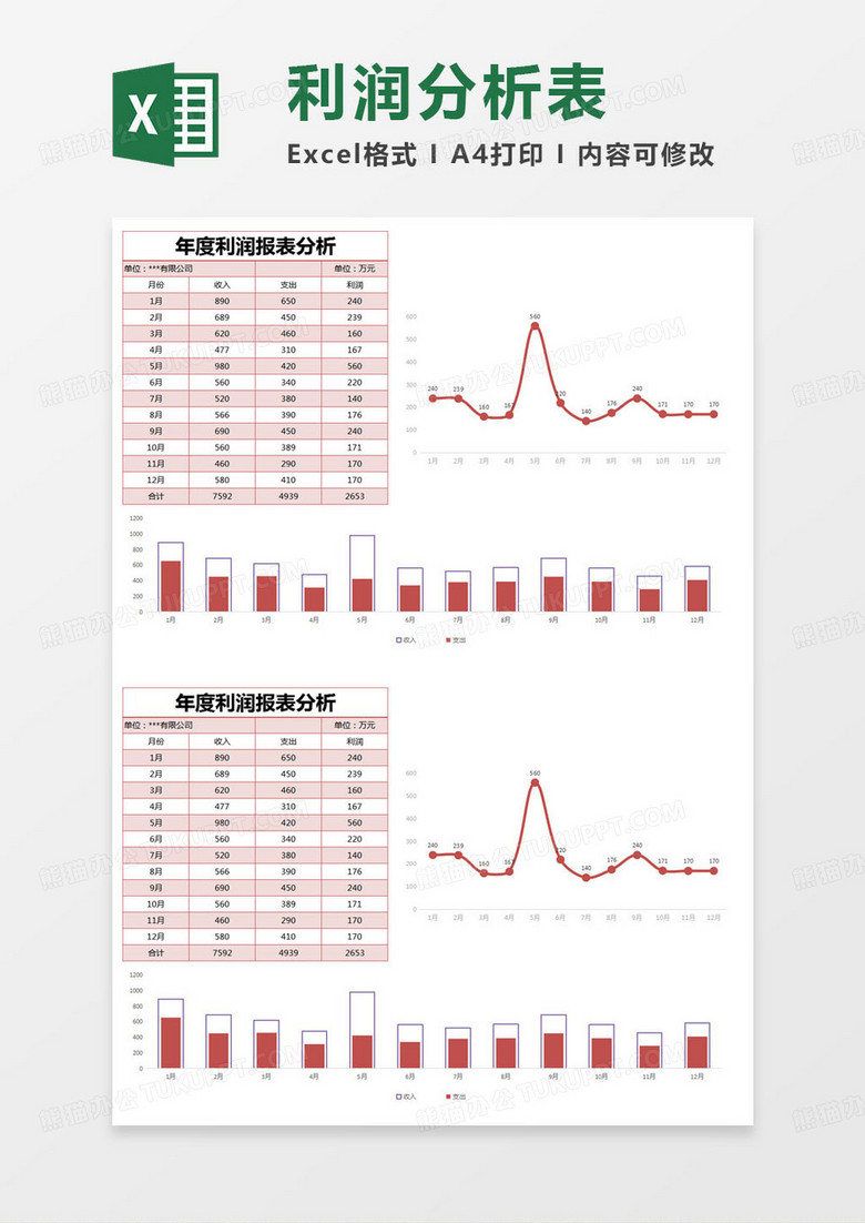 简约年度利润报表分析excel模版