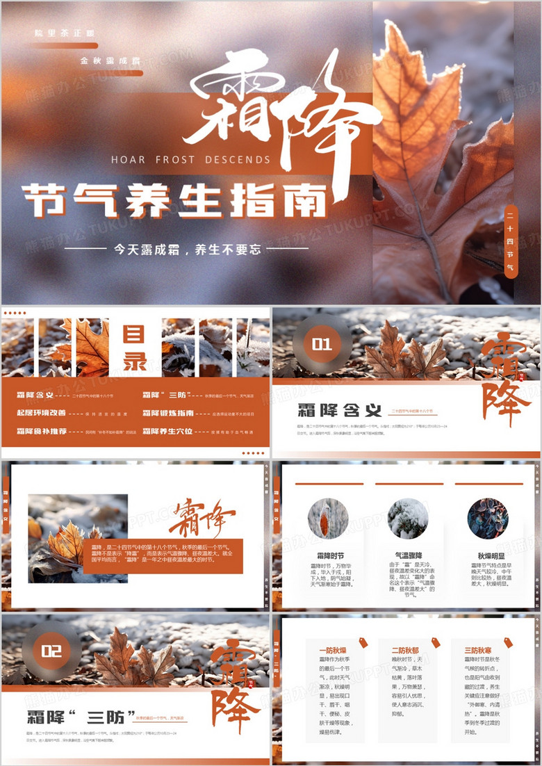 棕色简约风霜降节气养生指南PPT模板