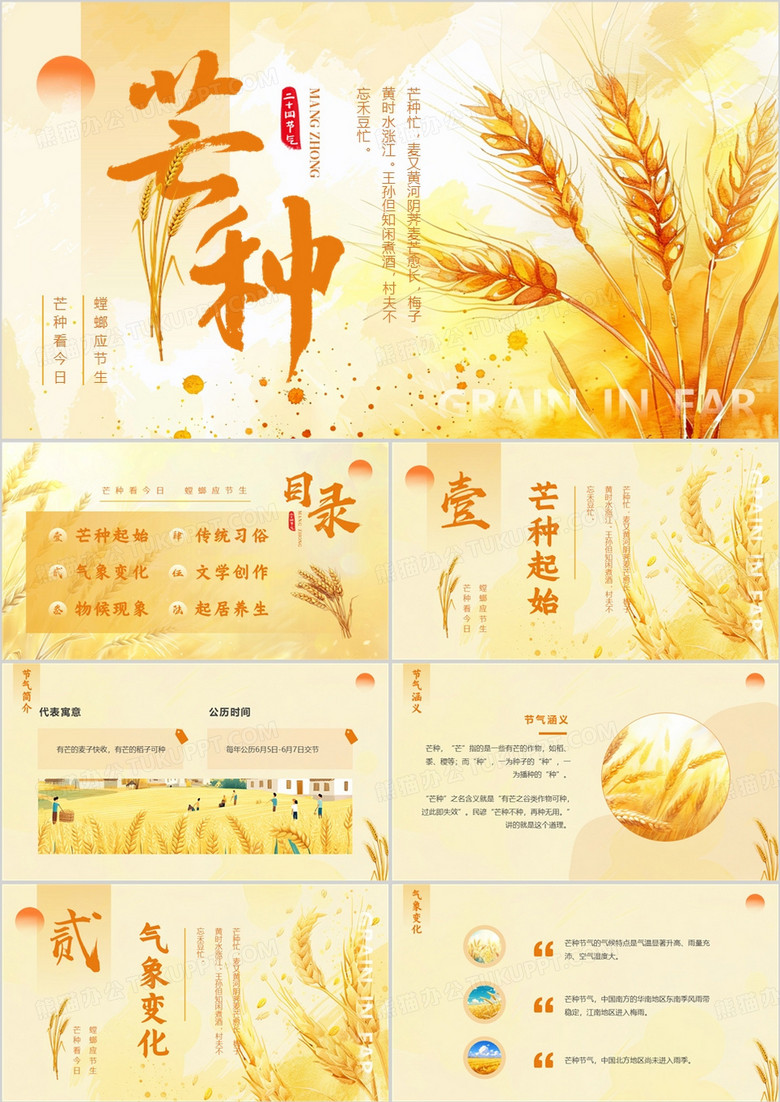 黄色清新风二十四节气之芒种介绍PPT模板