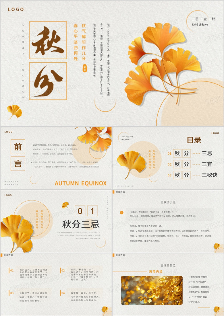 黄色清新风传统节气之秋分介绍PPT模板