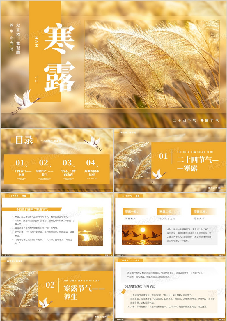 黄色清新风二十四节气之寒露PPT模板