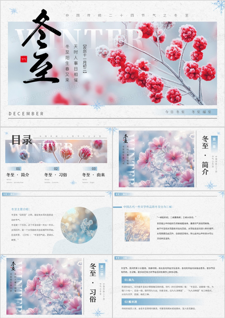 蓝色简约风二十四节气之冬至介绍PPT模板