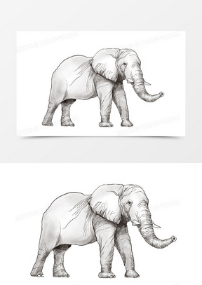 素描动物图片大全简单漂亮