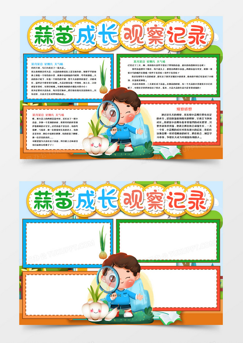 蒜苗观察记录手抄报word模板