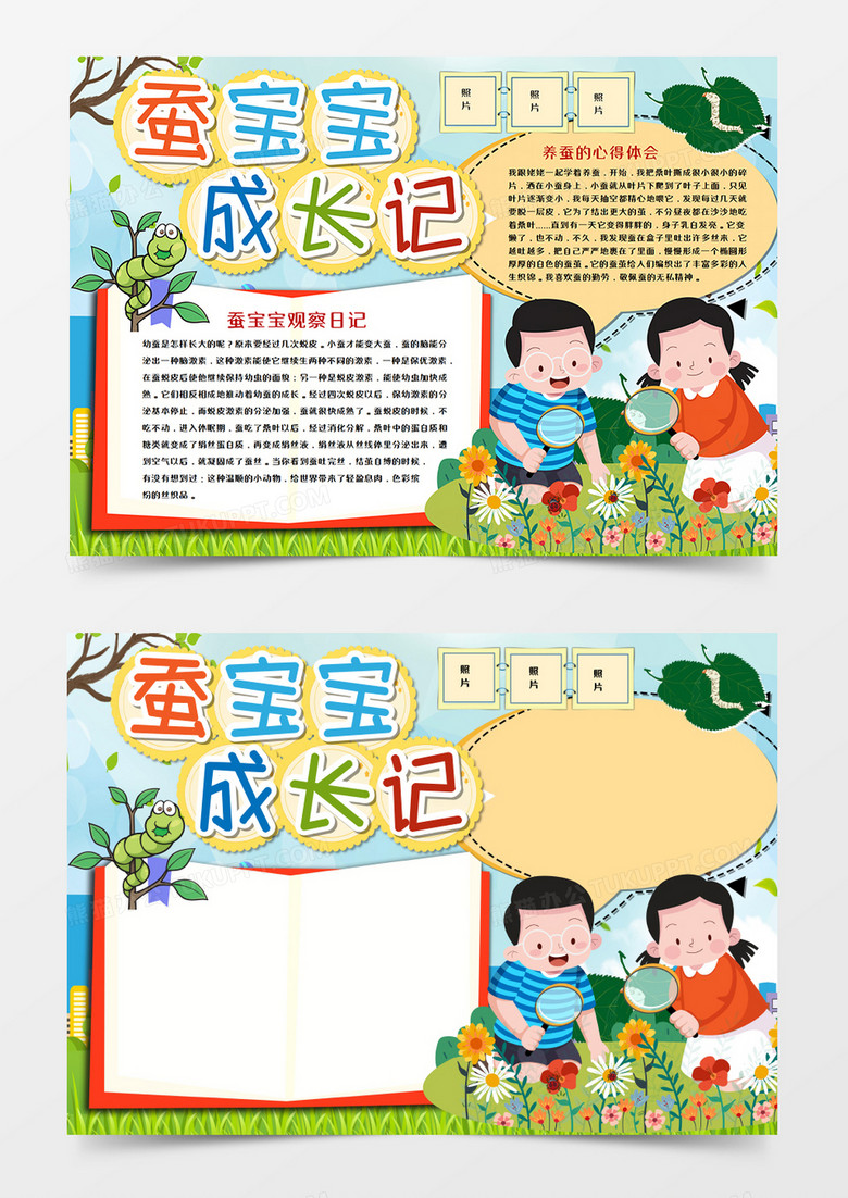 卡通蚕宝宝成长记手抄报模板 