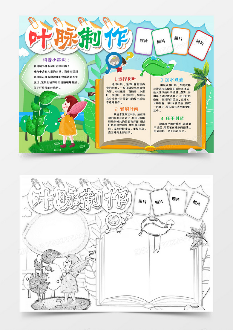 制作叶脉手抄报word模板     